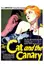The Cat and the Canary (1927) poster